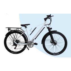 ebike